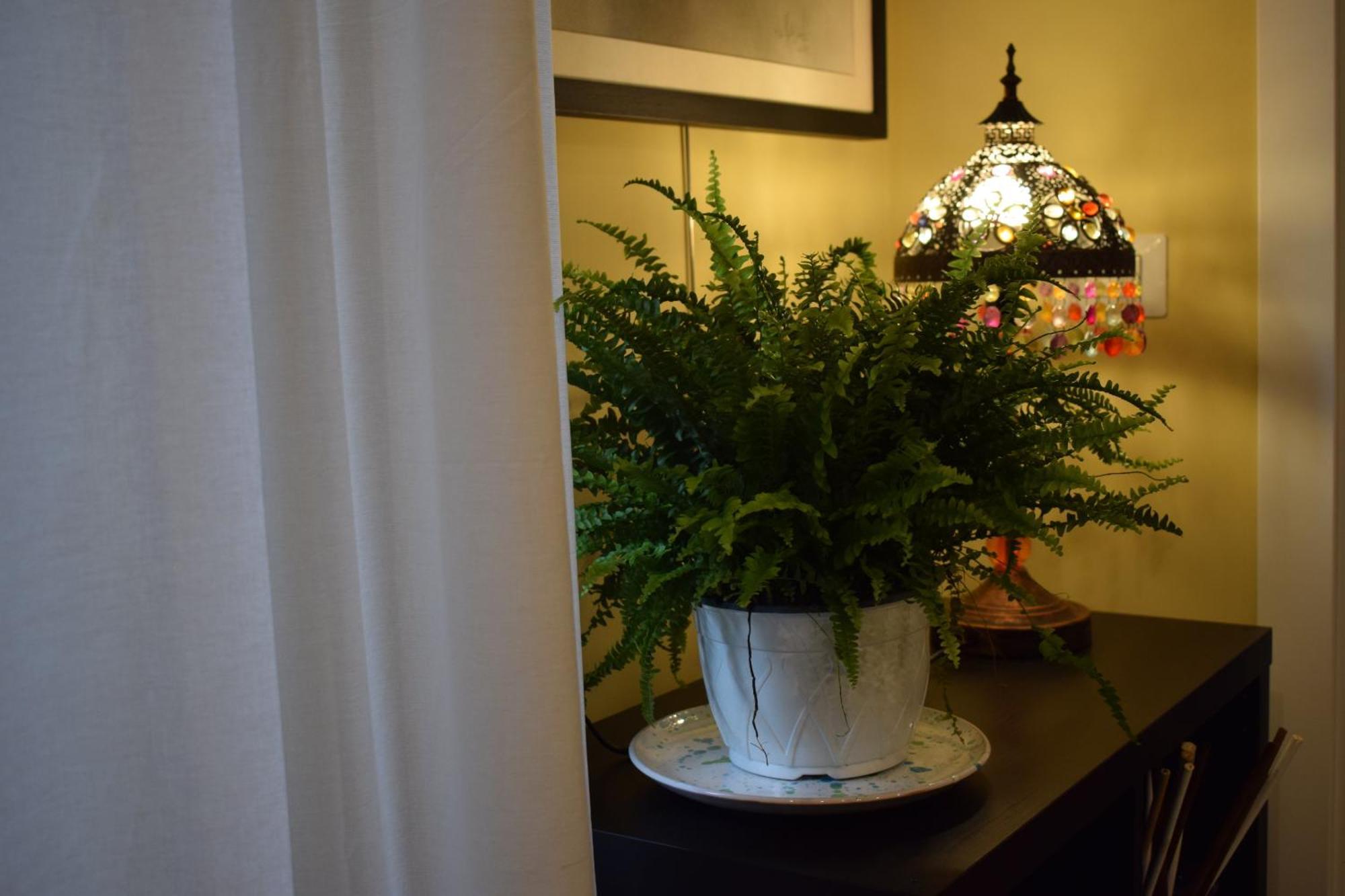 Bed and Breakfast La Dimora Dell'Arte Bari Exterior foto